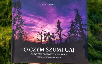 Książka tygodnia 11.05 – 17.05